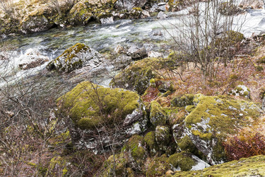 Similar image 5923348