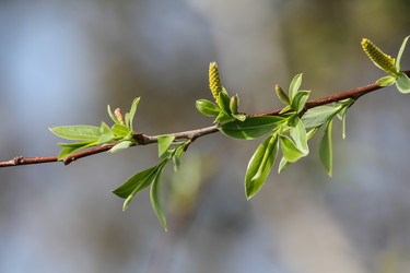 Similar image 5923471