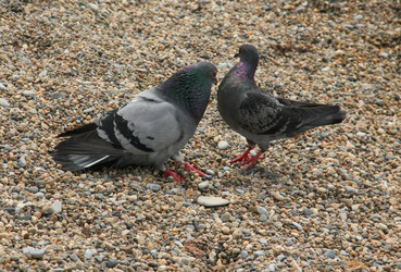 Similar image 5923472