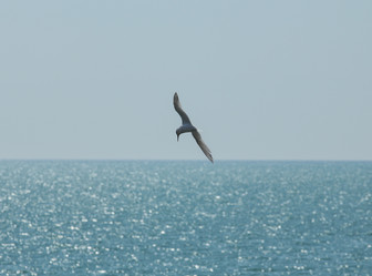 Similar image 5923473