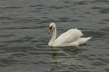 Similar image 5923645