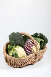 Similar image 5923678