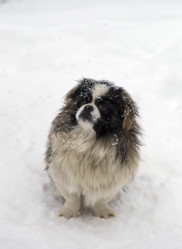 Similar image 5923863