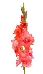 Similar image 5923904