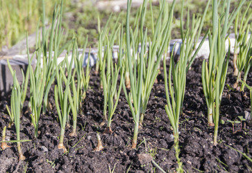 Similar image 5923964