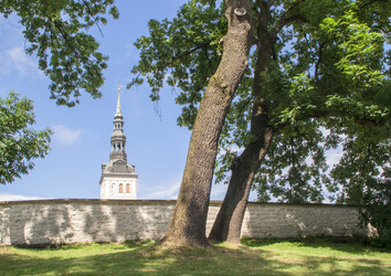 Similar image 5923967