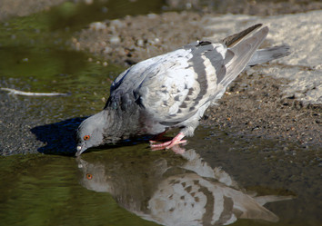 Similar image 5923975