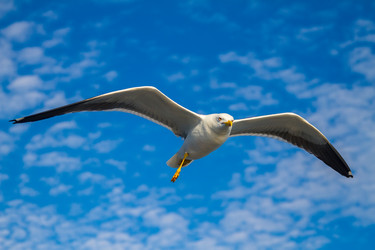 Similar image 5924034