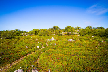 Similar image 5924035