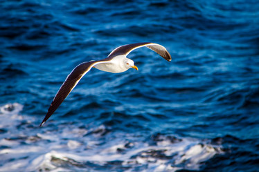 Similar image 5924041