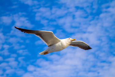 Similar image 5924042