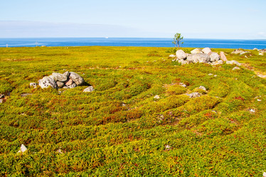 Similar image 5924044