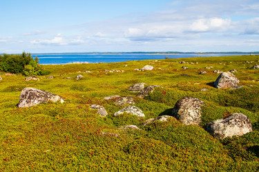 Similar image 5924052