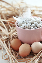 Similar image 5924131