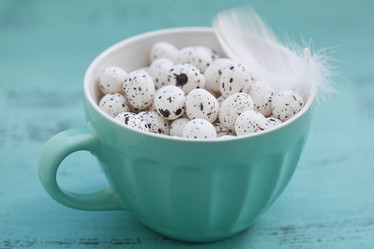 Similar image 5924175