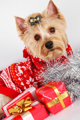 Similar image 5924214