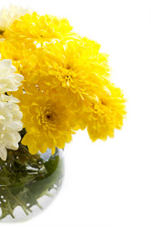 Similar image 5924254