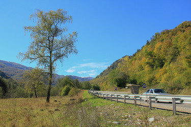 Similar image 5924264