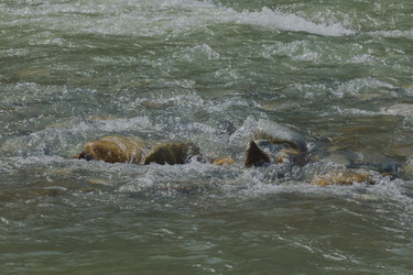 Similar image 5924265