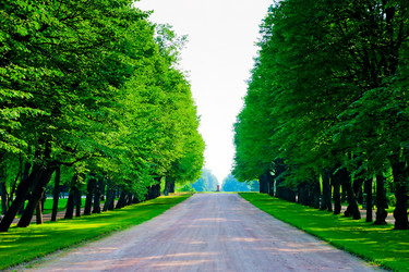 Similar image 5924379