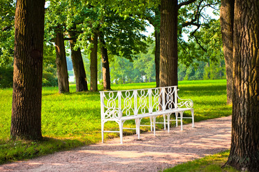 Similar image 5924384