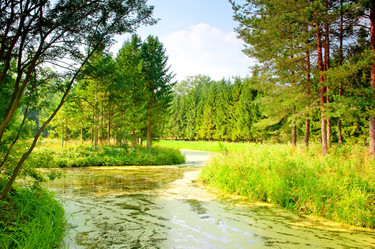 Similar image 5924390