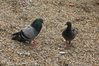 Similar image 5924391