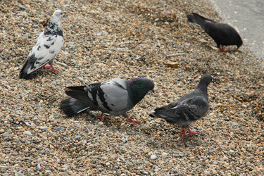 Similar image 5924545