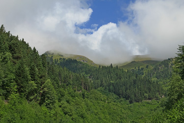 Similar image 5924609