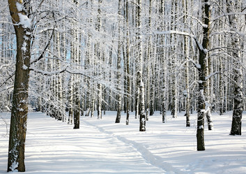 Similar image 5924613