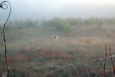 Similar image 5924633