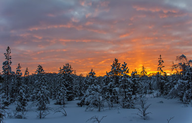 Similar image 5924643