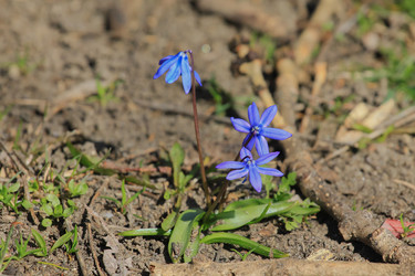 Similar image 5924691