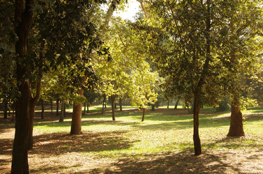 Similar image 5924734