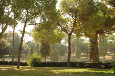 Similar image 5924735