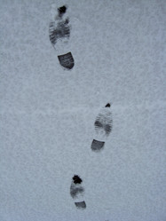 Similar image 5924755