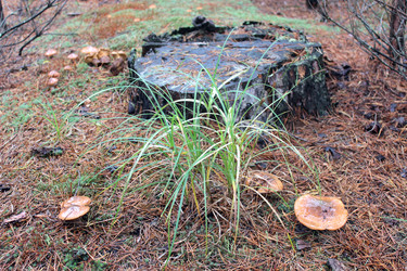 Similar image 5924756