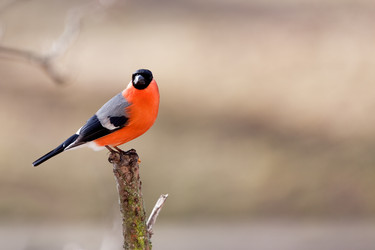 Similar image 5924808