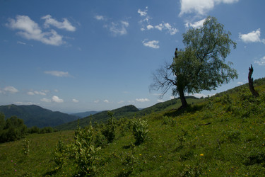 Similar image 5924826