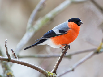 Similar image 5924837