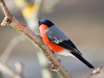 Similar image 5924839