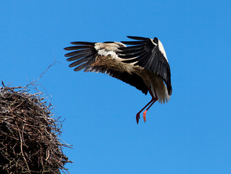 Similar image 5924844