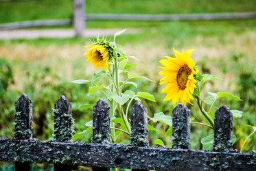 Similar image 5924870