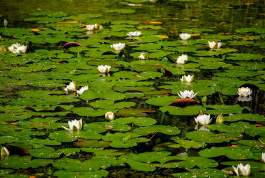 Similar image 5924872