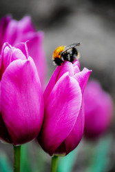 Similar image 5924873