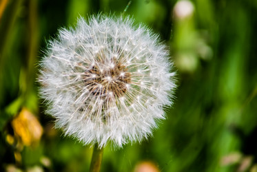 Similar image 5924874