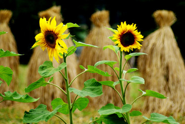 Similar image 5924875