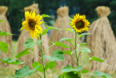 Similar image 5924878