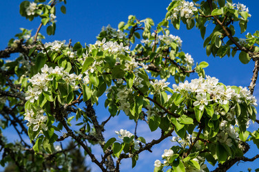 Similar image 5924879