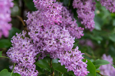 Similar image 5924880